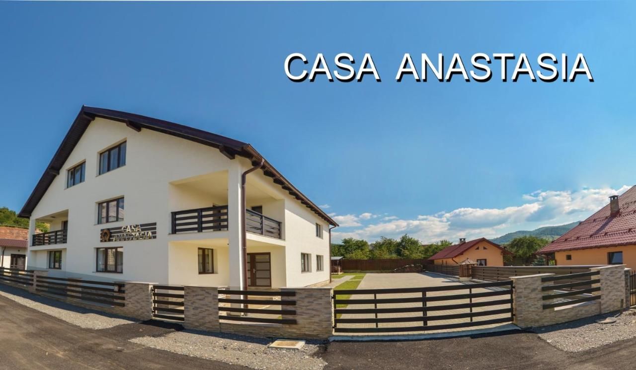 Гостевой дом Casa Anastasia Вишеу-де-Сус-25